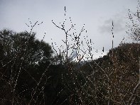 nte Cagliato-20110220 045